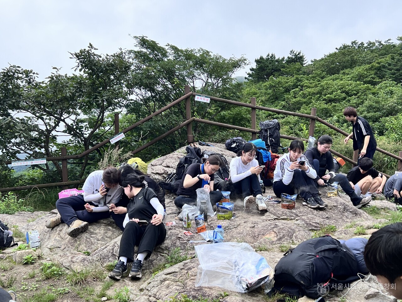 비화식 비빔밥이 다 되기를 기다리며, 핸드폰 삼매경에 빠지다.