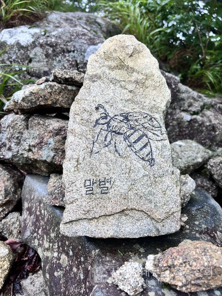 돌 위에 그려진 말벌.