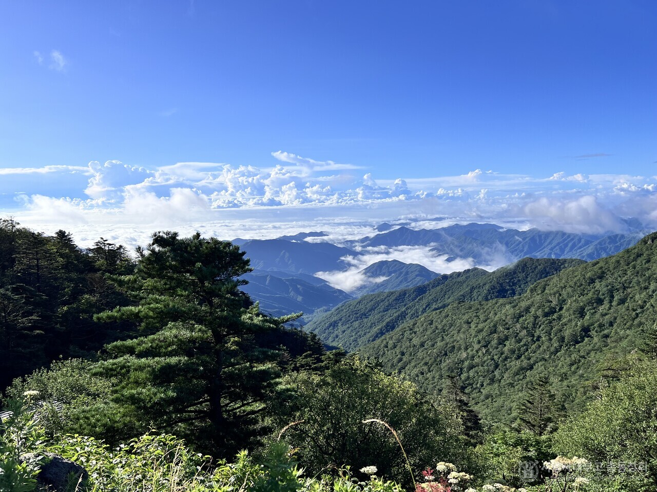 지리산 천왕봉의 풍경.